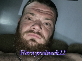 Hornyredneck22
