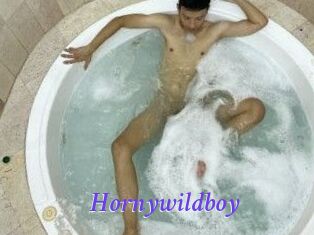 Hornywildboy
