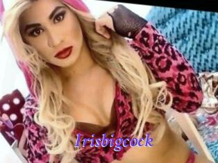 Irisbigcock