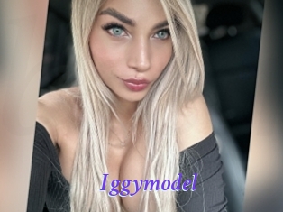 Iggymodel
