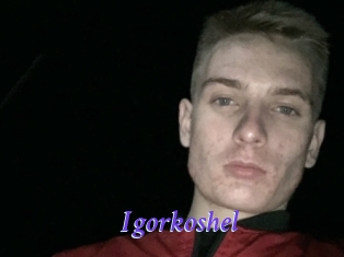 Igorkoshel