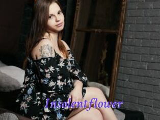 Insolentflower