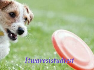 Itwaresistudtest