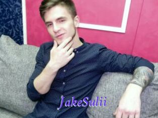 JakeSulii