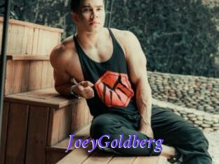 JoeyGoldberg