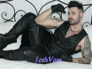 JoshVoss Bdsm gratuit