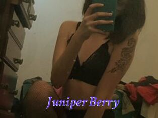 Juniper_Berry