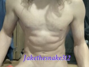 Jakethesnake312