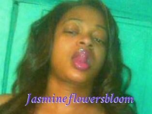 Jasmineflowersbloom