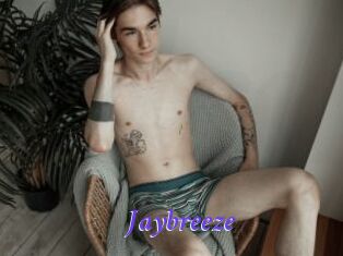 Jaybreeze