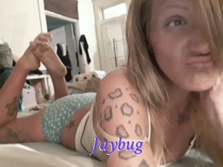 Jaybug