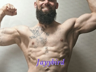Jayybird