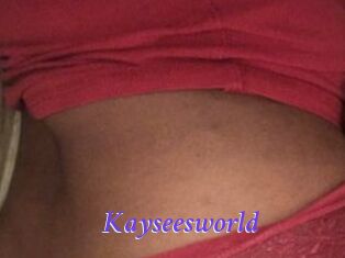 Kayseesworld