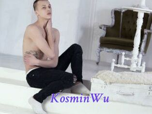 KosminWu
