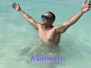 kanenorris Bdsm gratuit