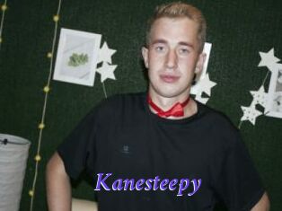 Kanesteepy