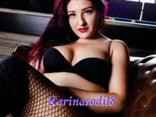 Karinasodi18