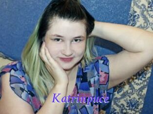 Katrinpuce