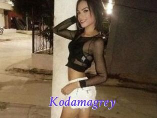 Kodamagrey