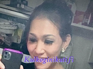 Kulkoginikutifi