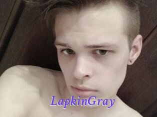 LapkinGray