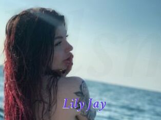 Lily_Jay