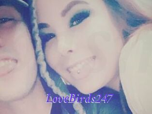 LoveBirds247