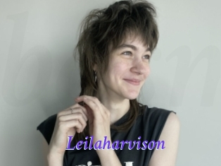 Leilaharvison