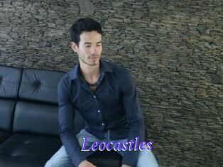 Leocastles