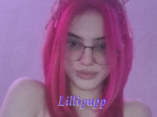 Lillipupp