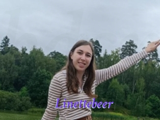 Linettebeer