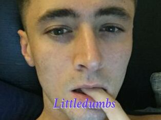 Littledumbs