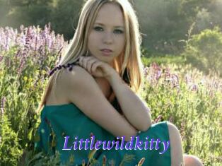 littlewildkitty Bdsm gratuit