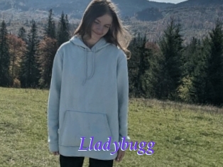 Lladybugg