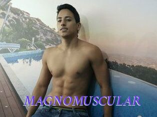 MAGNOMUSCULAR