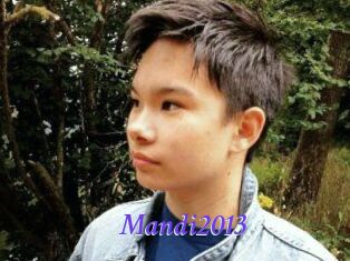 Mandi2013