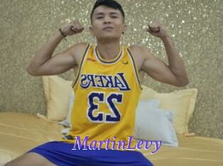MartinLevy