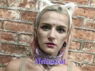 Melisa_cat