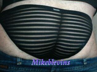 Mikeblevins