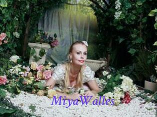 MiyaWalles