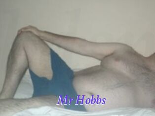 Mr_Hobbs