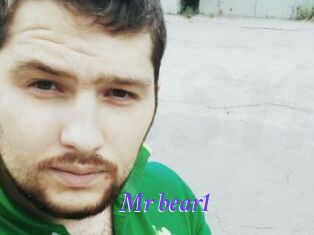 Mr_bear1