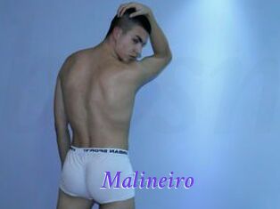 Malineiro
