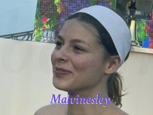 Malvinesley