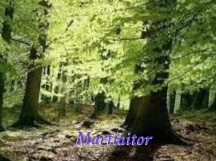 Martiaitor