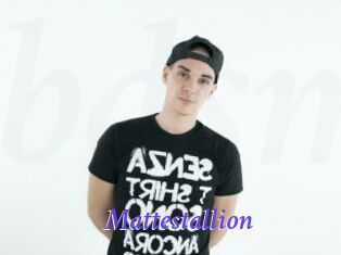 Mattestallion