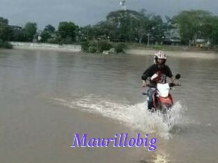 Maurillobig