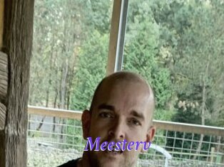 Meesterv