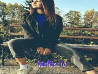 Mellisajo