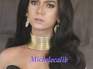Michelecalib